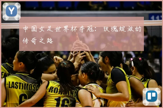 中国女足世界杯夺冠：玫瑰绽放的传奇之路