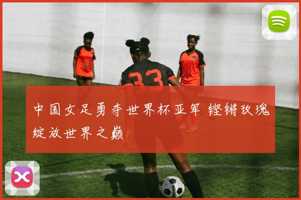 中国女足勇夺世界杯亚军 铿锵玫瑰绽放世界之巅