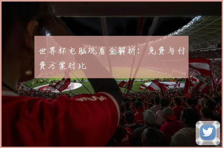 世界杯电脑观看全解析:免费与付费方案对比